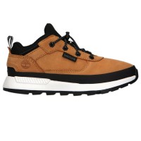 Timberland Field Trekker Low