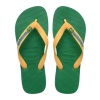 4110850-2079,Havaianas Brasil Logo