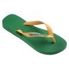 4110850-2079,Havaianas Brasil Logo