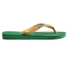 4110850-2079,Havaianas Brasil Logo