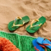 4110850-2079,Havaianas Brasil Logo
