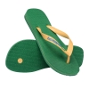 4110850-2079,Havaianas Brasil Logo