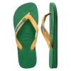 4110850-2079,Havaianas Brasil Logo
