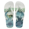 4149971-0198,Havaianas Top Surfer I