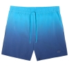 4FWSS25UBDSM132-31S,4F Board Shorts - Chilly Waves
