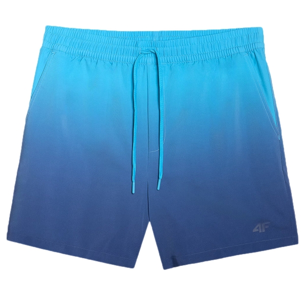 4FWSS25UBDSM132-31S,4F Board Shorts - Chilly Waves