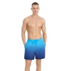 4FWSS25UBDSM132-31S,4F Board Shorts - Chilly Waves