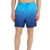 4FWSS25UBDSM132-31S,4F Board Shorts - Chilly Waves