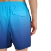4FWSS25UBDSM132-31S,4F Board Shorts - Chilly Waves