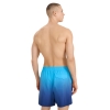 4FWSS25UBDSM132-31S,4F Board Shorts - Chilly Waves
