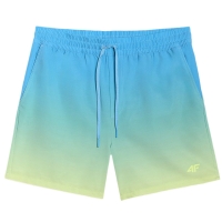 4F Board Shorts - Chilly Waves