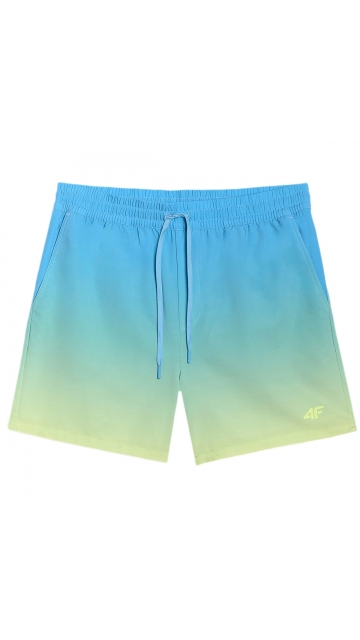 4F Board Shorts - Chilly Waves