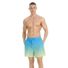 4F Board Shorts - Chilly Waves