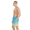 4F Board Shorts - Chilly Waves