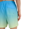 4F Board Shorts - Chilly Waves