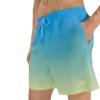 4F Board Shorts - Chilly Waves