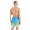 4F Board Shorts - Chilly Waves