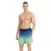 4F Board Shorts - Chilly Waves