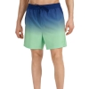 4F Board Shorts - Chilly Waves