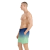 4F Board Shorts - Chilly Waves