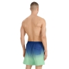 4F Board Shorts - Chilly Waves