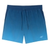 4F Board Shorts - Chilly Waves