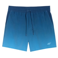 4F Board Shorts - Chilly Waves