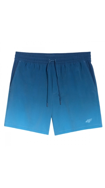 4F Board Shorts - Chilly Waves