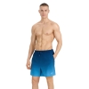 4F Board Shorts - Chilly Waves