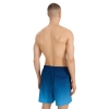 4F Board Shorts - Chilly Waves