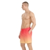 4F Board Shorts - Chilly Waves