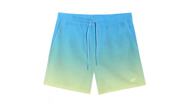 4F Board Shorts - Chilly Waves