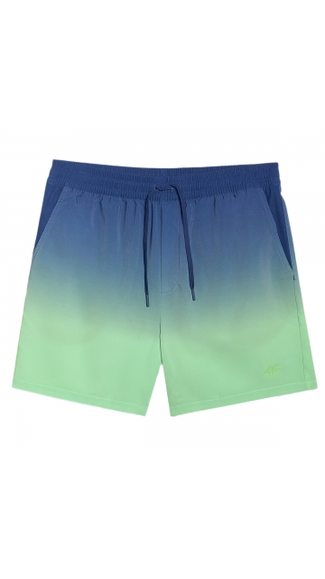 4F Board Shorts - Chilly Waves