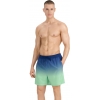 4FWSS25UBDSM132-42S,4F Board Shorts - Chilly Waves