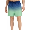 4FWSS25UBDSM132-42S,4F Board Shorts - Chilly Waves