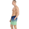 4FWSS25UBDSM132-42S,4F Board Shorts - Chilly Waves