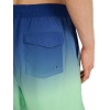 4FWSS25UBDSM132-42S,4F Board Shorts - Chilly Waves