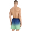 4FWSS25UBDSM132-42S,4F Board Shorts - Chilly Waves