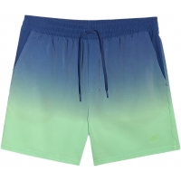 4F Board Shorts - Chilly Waves