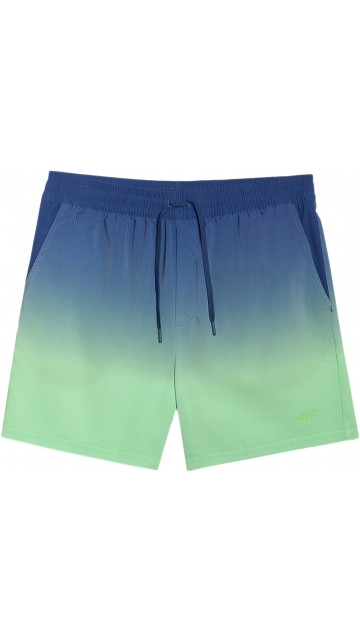 4F Board Shorts - Chilly Waves