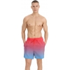 4FWSS25UBDSM132-63S,4F Board Shorts - Chilly Waves