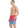 4FWSS25UBDSM132-63S,4F Board Shorts - Chilly Waves