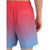 4FWSS25UBDSM132-63S,4F Board Shorts - Chilly Waves