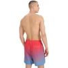 4FWSS25UBDSM132-63S,4F Board Shorts - Chilly Waves