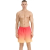 4FWSS25UBDSM132-71S,4F Board Shorts - Chilly Waves