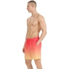 4FWSS25UBDSM132-71S,4F Board Shorts - Chilly Waves