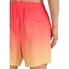4FWSS25UBDSM132-71S,4F Board Shorts - Chilly Waves