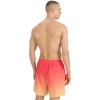 4FWSS25UBDSM132-71S,4F Board Shorts - Chilly Waves