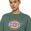 DK0A4XC9-H15, Dickies Icon