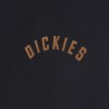 DK0A87CI-BLK, Dickies Panther Hoodie